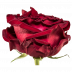 Mayra´s Rose ® Red